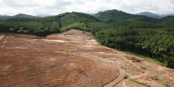 Tackling deforestation risk in financial portfolios