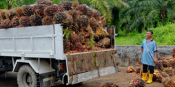 Respecting workers’ rights: New Accountability Framework Guidance