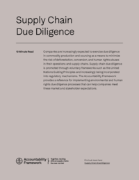 TS_-_Due_diligence.pdf