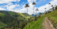 Transforming Colombian supply chains with the Accountability Framework