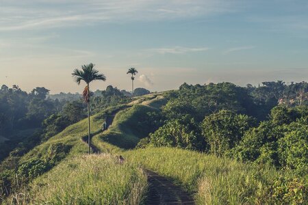 Indonesia Landscape