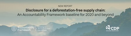 Disclosure for a deforestation-free supply chain