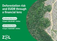 ZSL Webinar: Deforestation risk and EUDR through a financial lens