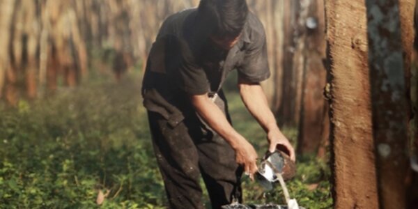Man working in the forest