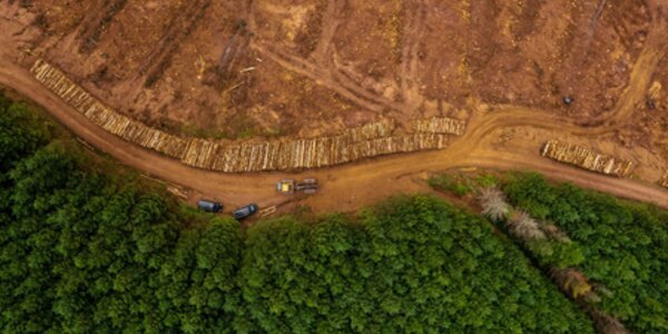 Advancing climate and nature goals with AFi Delivery Partners