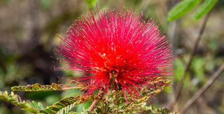 Reuters: Why nature risk for companies is far bigger than deforestation