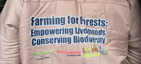 Supporting rubber smallholders in West Africa