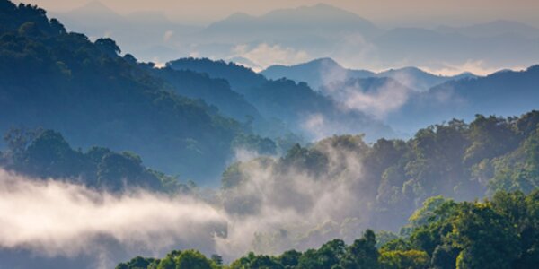[Translate to Português:] Landscape of hills with forests