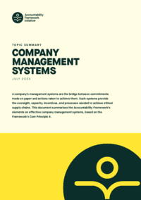 AFi_Topic_Summary_-_Company_Management_Systems.pdf