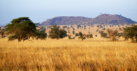 New research makes non-forest ecosystem conversion more visible