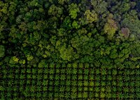 Deforestation- and conversion-free supply chains and land use change emissions: A guide to aligning corporate targets, accounting, and disclosure 