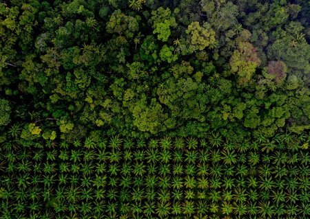 Deforestation- and conversion-free supply chains and land use change emissions: A guide to aligning corporate targets, accounting, and disclosure