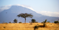Identifying conversion hotspots linked to agriculture