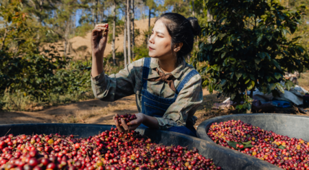Revised Operational Guidance on Workers’ Rights consolidates good practices for companies