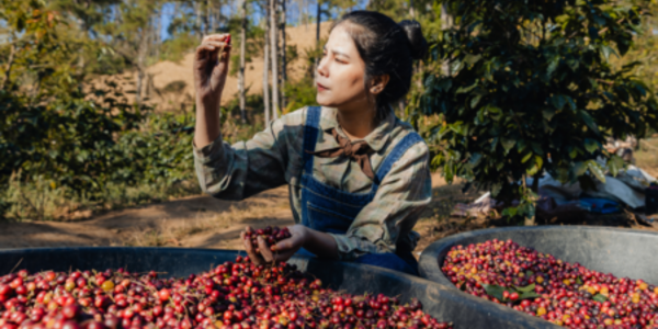 Revised Operational Guidance on Workers’ Rights consolidates good practices for companies