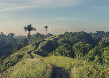 The power of collective action in Southeast Asian commodity sectors