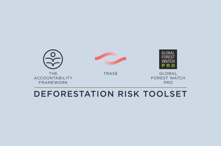 Introducing the Deforestation Risk Toolset