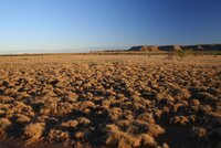 Addressing non-forest ecosystem conversion in Australia through collaboration