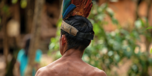 AFi releases updated guidance for companies on respecting the rights of Indigenous Peoples and local communities