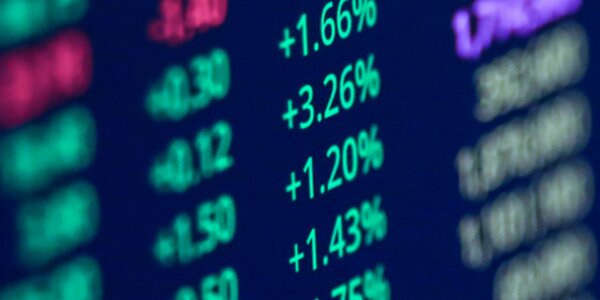 Using pensions to halt deforestation